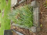 image of grave number 683972